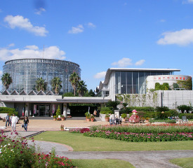 Search for Chiba