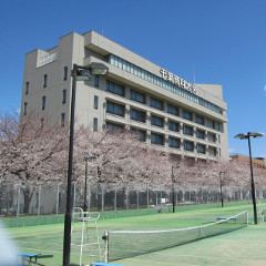 Chiba universities