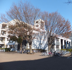 Chiba universities
