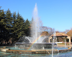 Search for Chiyoda-ku