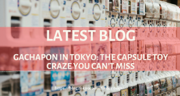 Latest Blog 