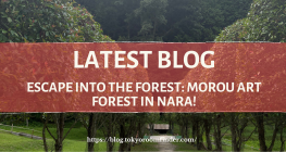 Latest Blog 