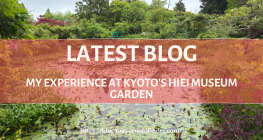 Latest Blog 