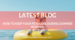 Latest Blog 