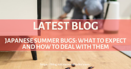 Latest Blog 