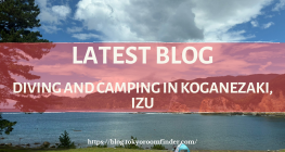 Latest Blog 