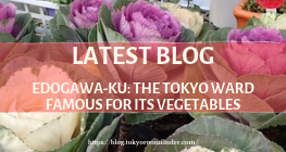 Latest Blog 